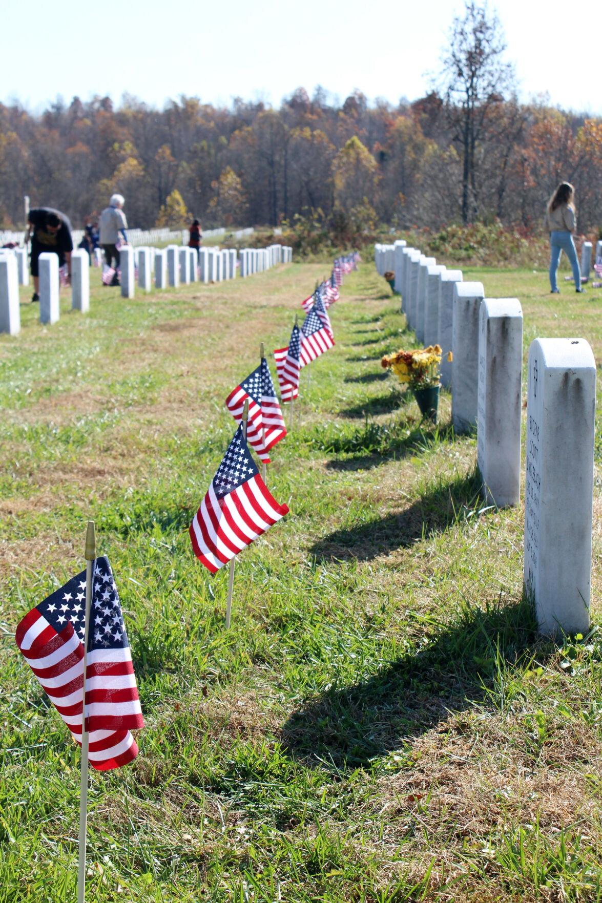 Veterans day state holiday california