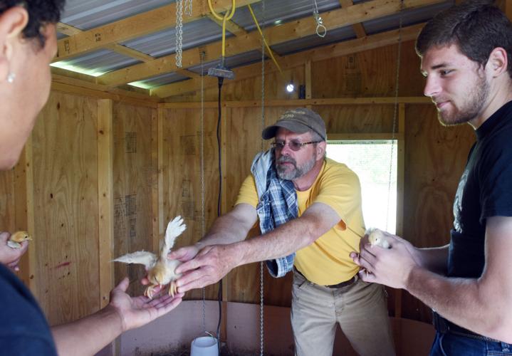 FACES & PLACES Connecting to agriculture and life at Plowshares Farm