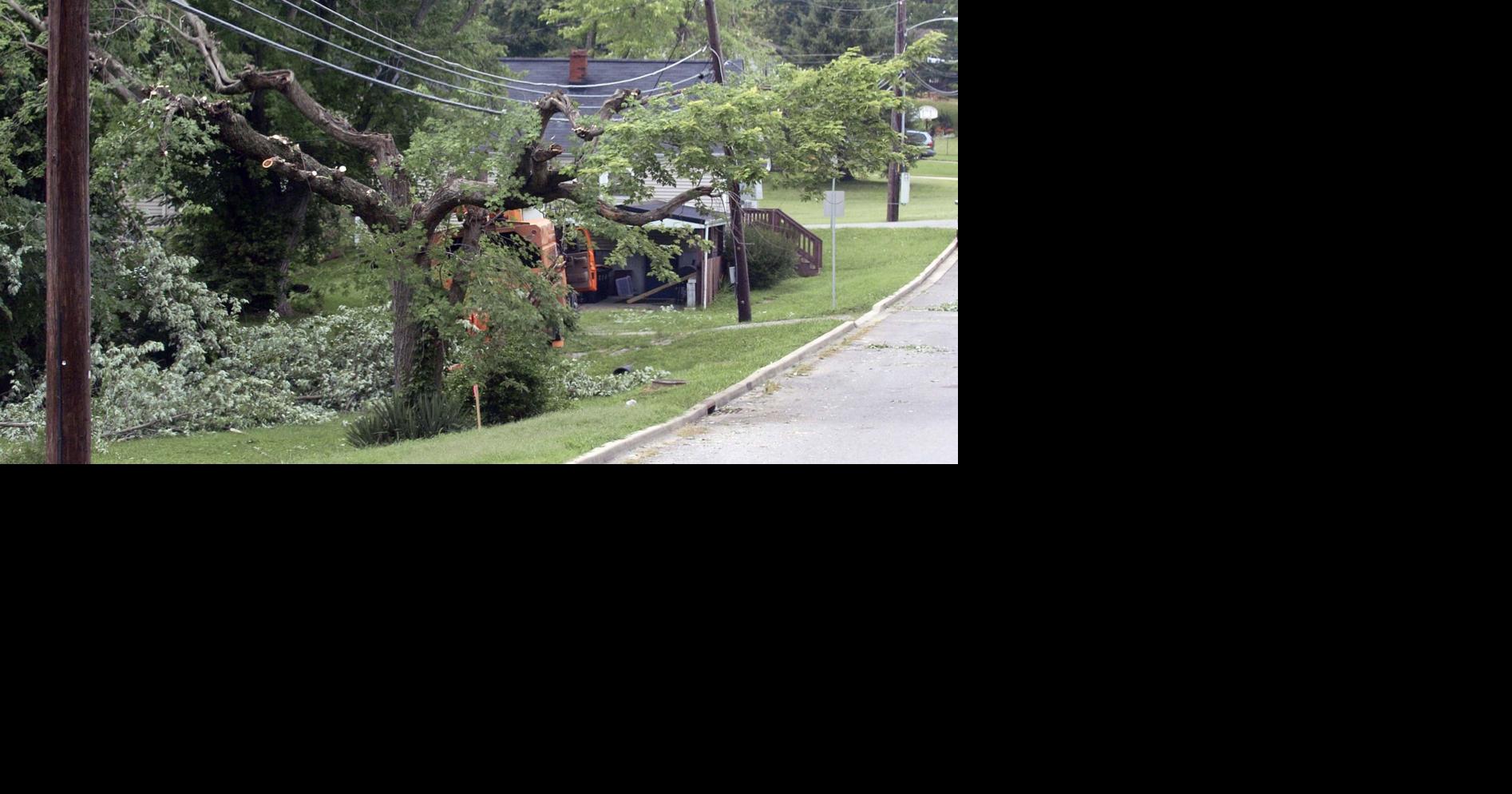 PHOTO: Tree trimming to help keep the electric flowing | Local News ...
