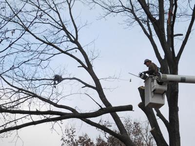 One limb at a time