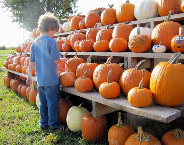 Family fall harvest based on variety Local News
