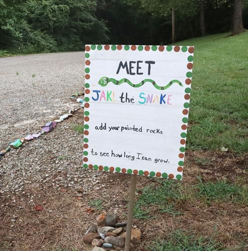 A pair of rock snakes brings Nelson County communities together | Local ...