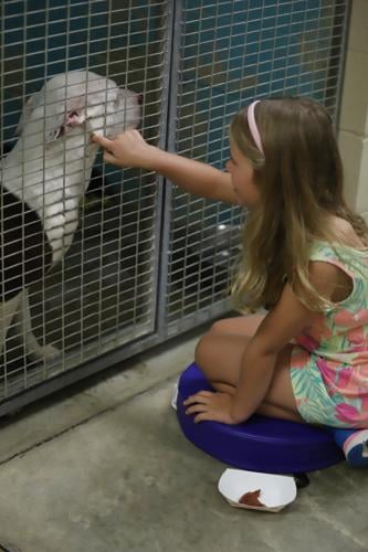 Tails wags as children delight in reading to shelter dogs | Local News ...