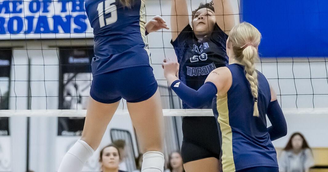 New-look Panthers embrace high expectations after championship season