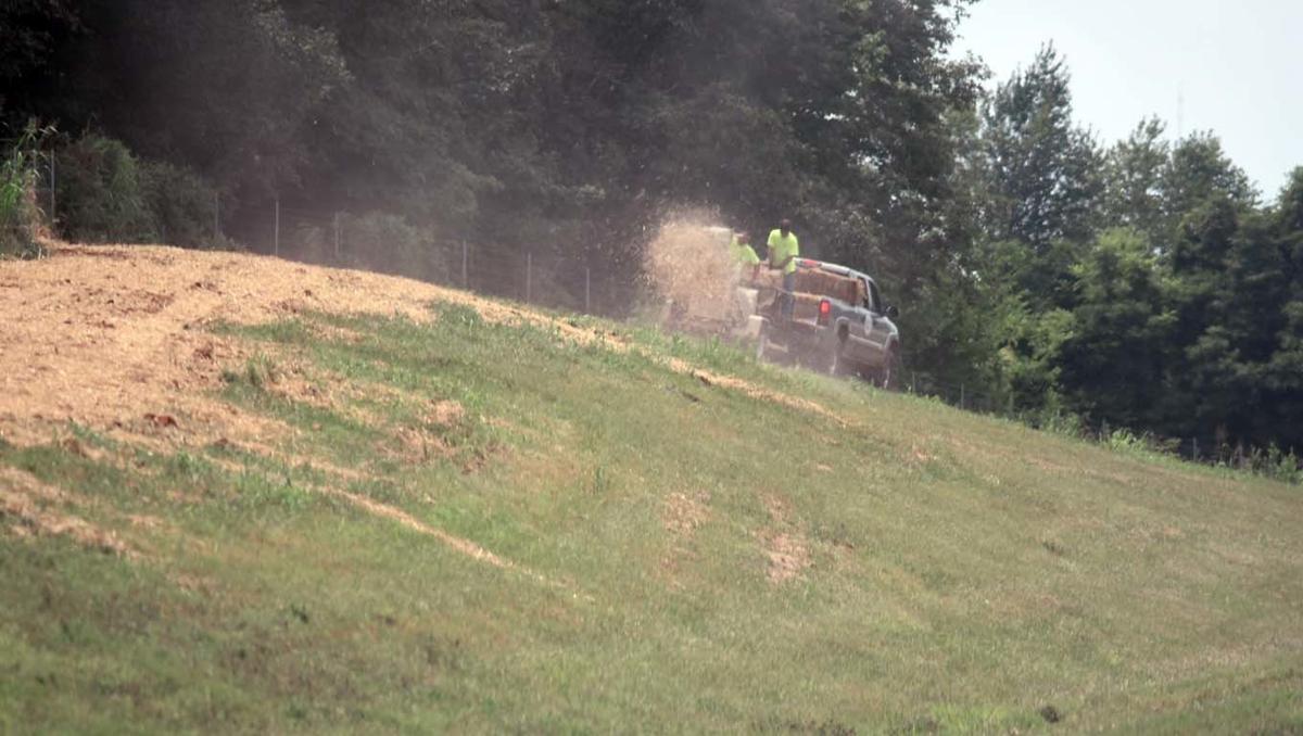 Spreading straw to make the grass grow Local News