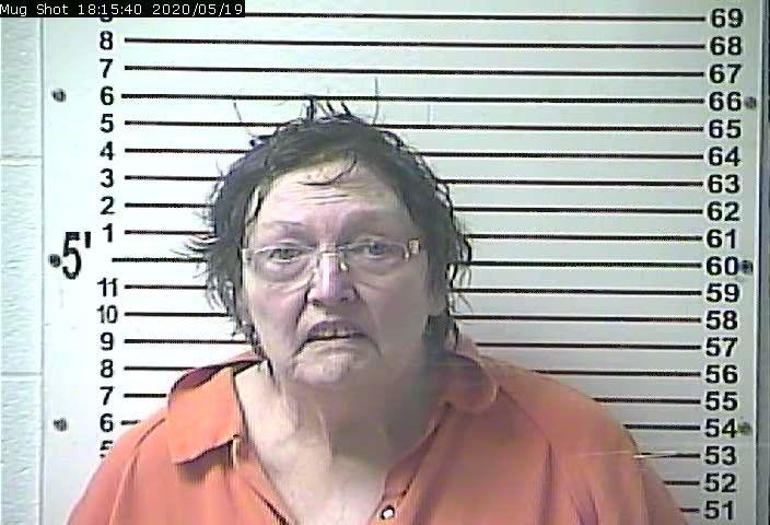 70 Year Old Woman Charged With Striking Police Officer Crime And Courts