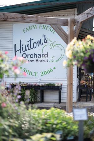 Hinton's Orchard celebrates 20 years