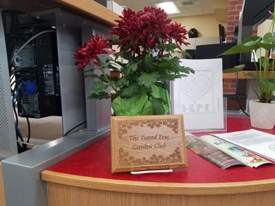 Potted Few member donates flower to Barr Library