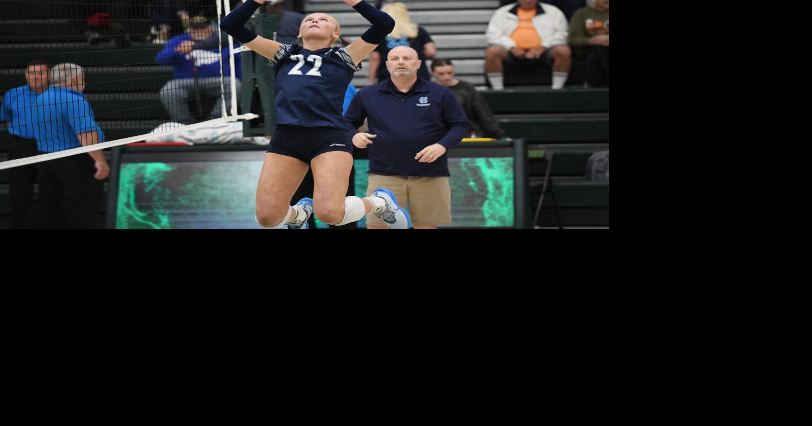 Local volleyball players earn All-State volleyball honors | High School ...
