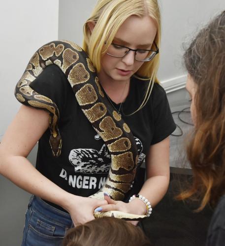 Ball pythons crawling about at library | Local News | thenewsenterprise.com