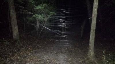 Fishing line hung across park trails, Crime And Courts