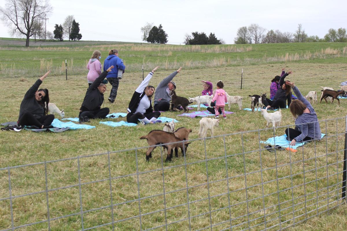 Fun on the farm Local News