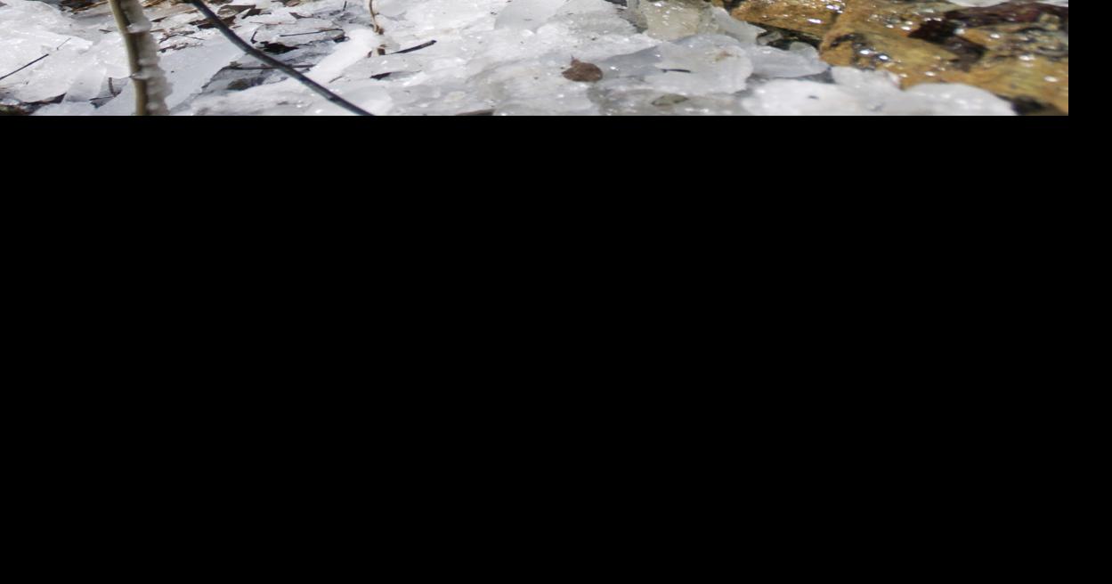 Ice on the rocks Local News