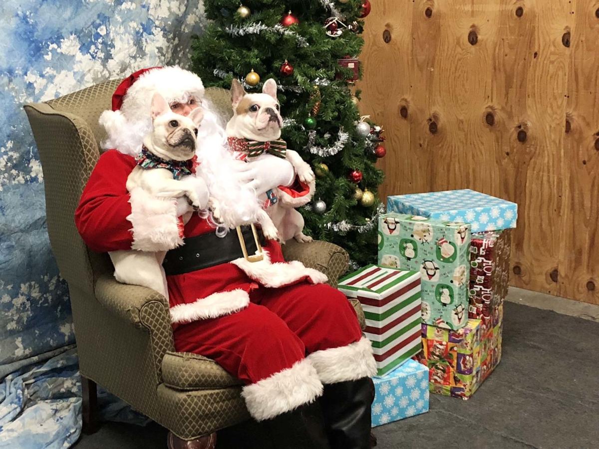 Santa And The Pups Local News Thenewsenterprise Com