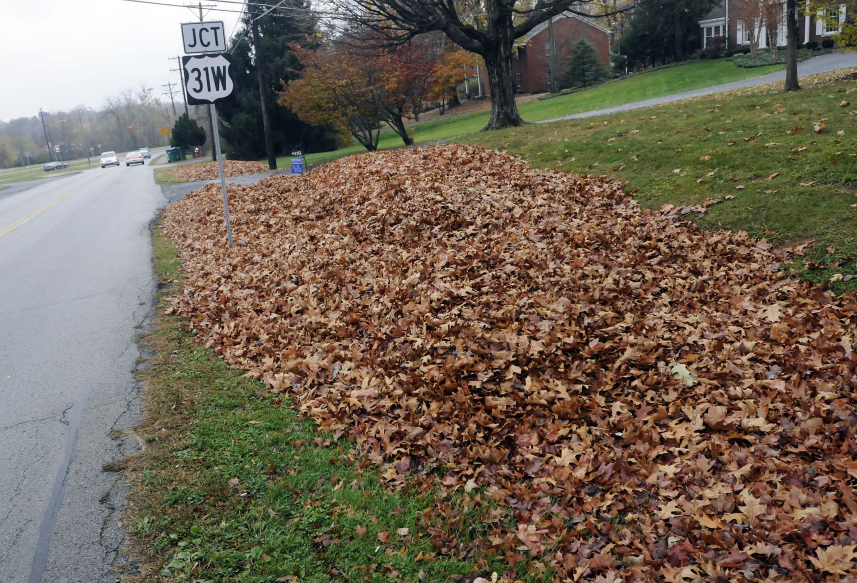 Leaf Pick-up Set To Begin | Local News | Thenewsenterprise.com