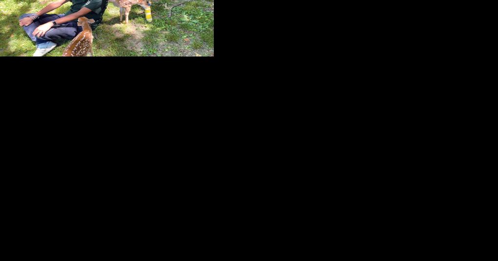 Making life better for animals, humans - Vimarsana News