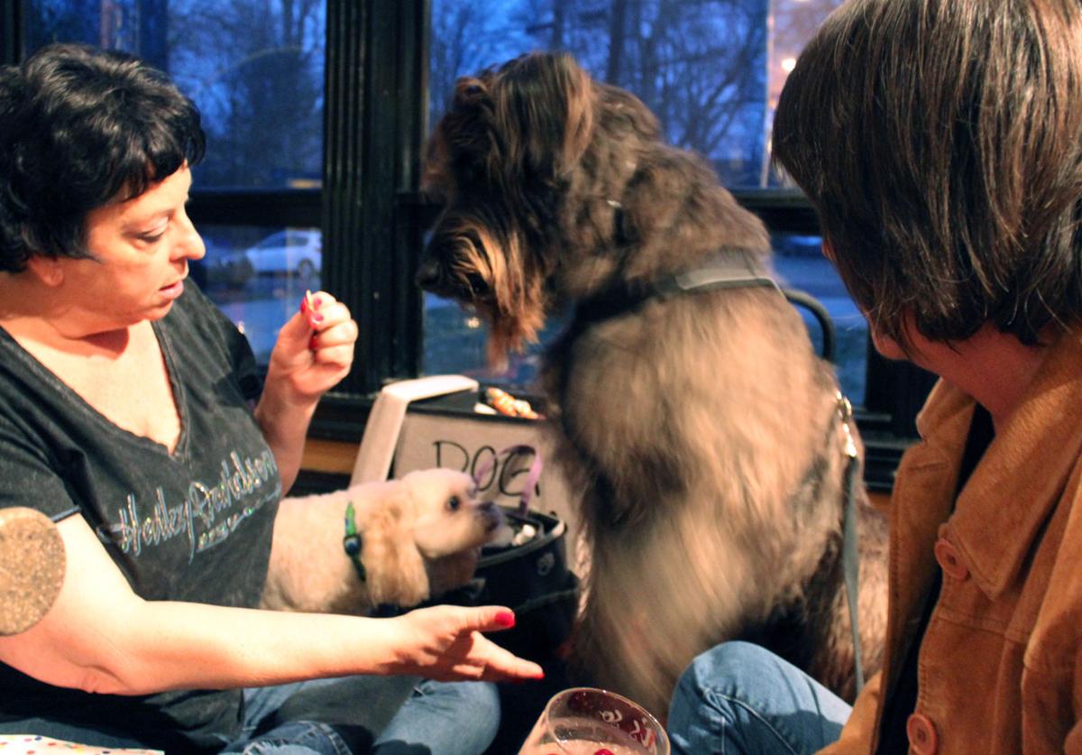 Just Imagine It Psychic Talks To Animals Local News