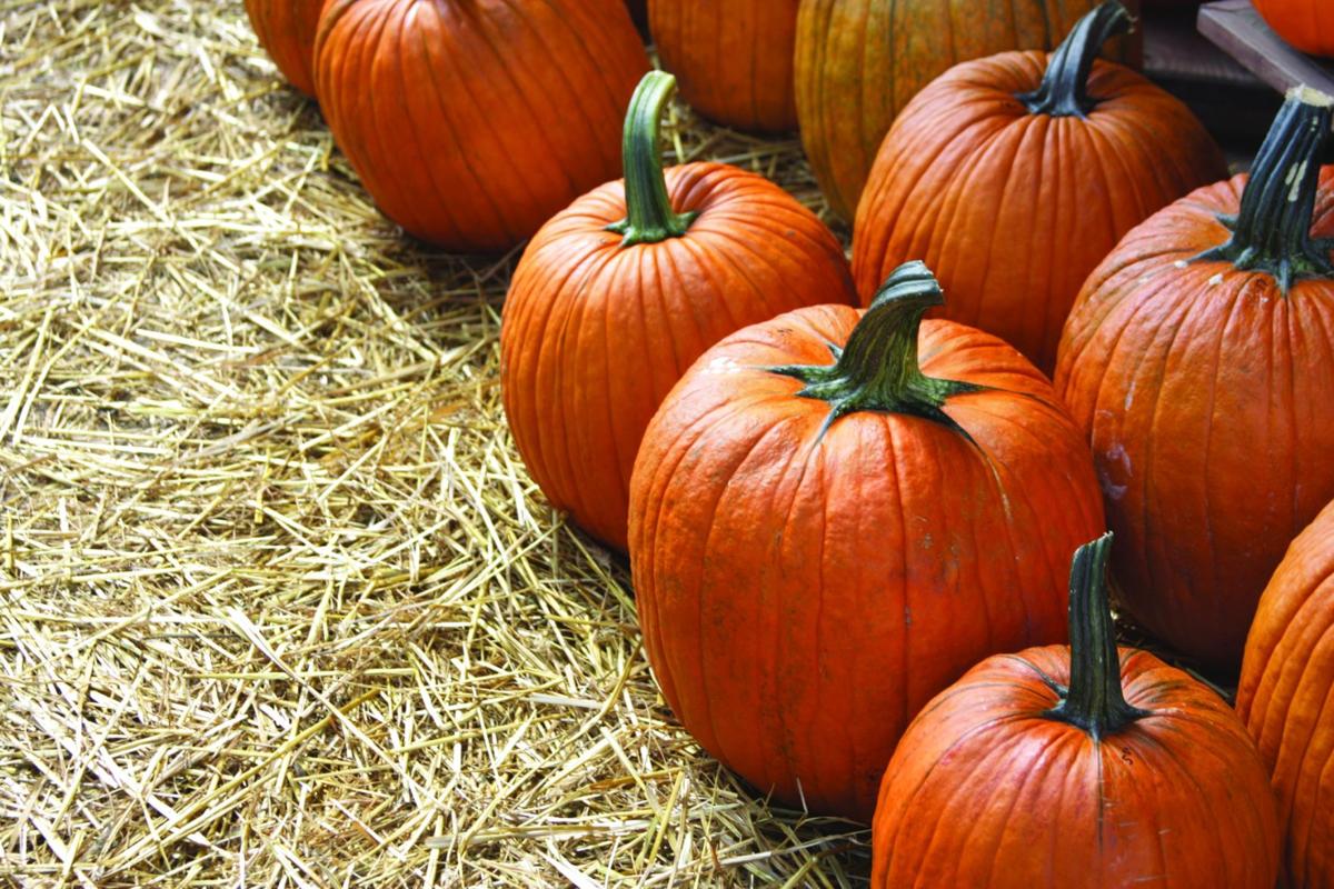 Fall Fun Set To Begin Locally Friday S Focus Thenewsenterprise Com