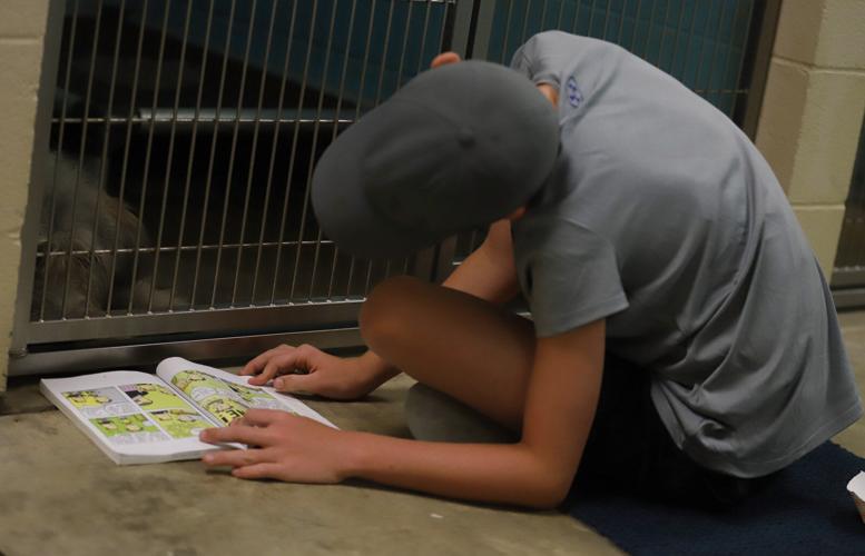 Tails wags as children delight in reading to shelter dogs | Local News ...