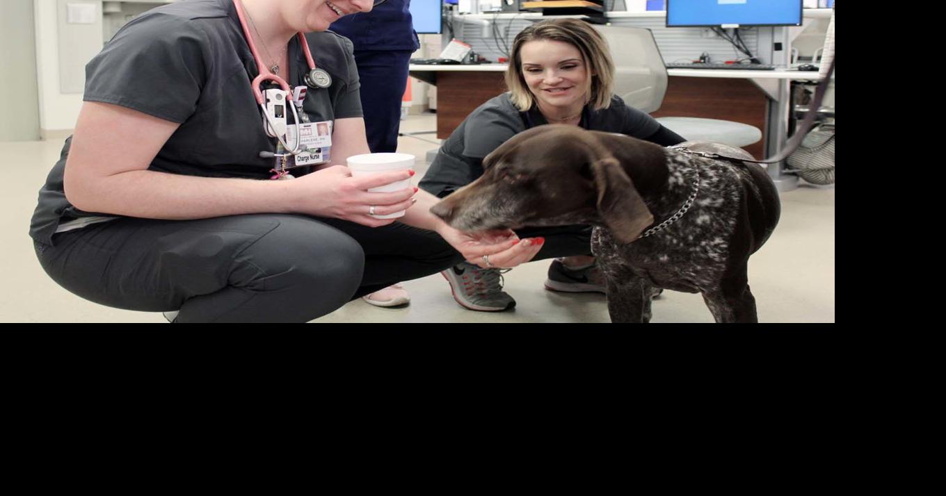 Hans provides respite to patients as HMH begins pet therapy program ...