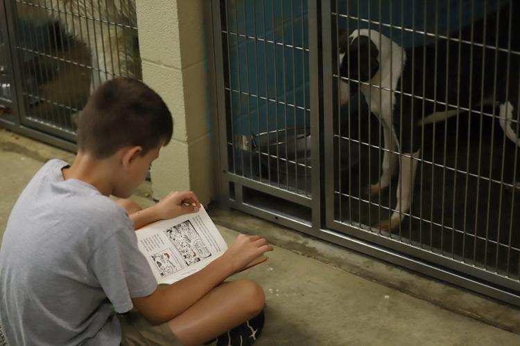 Tails wags as children delight in reading to shelter dogs | Local News ...