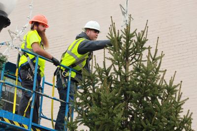 O Christmas tree