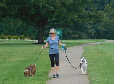 Morning stroll