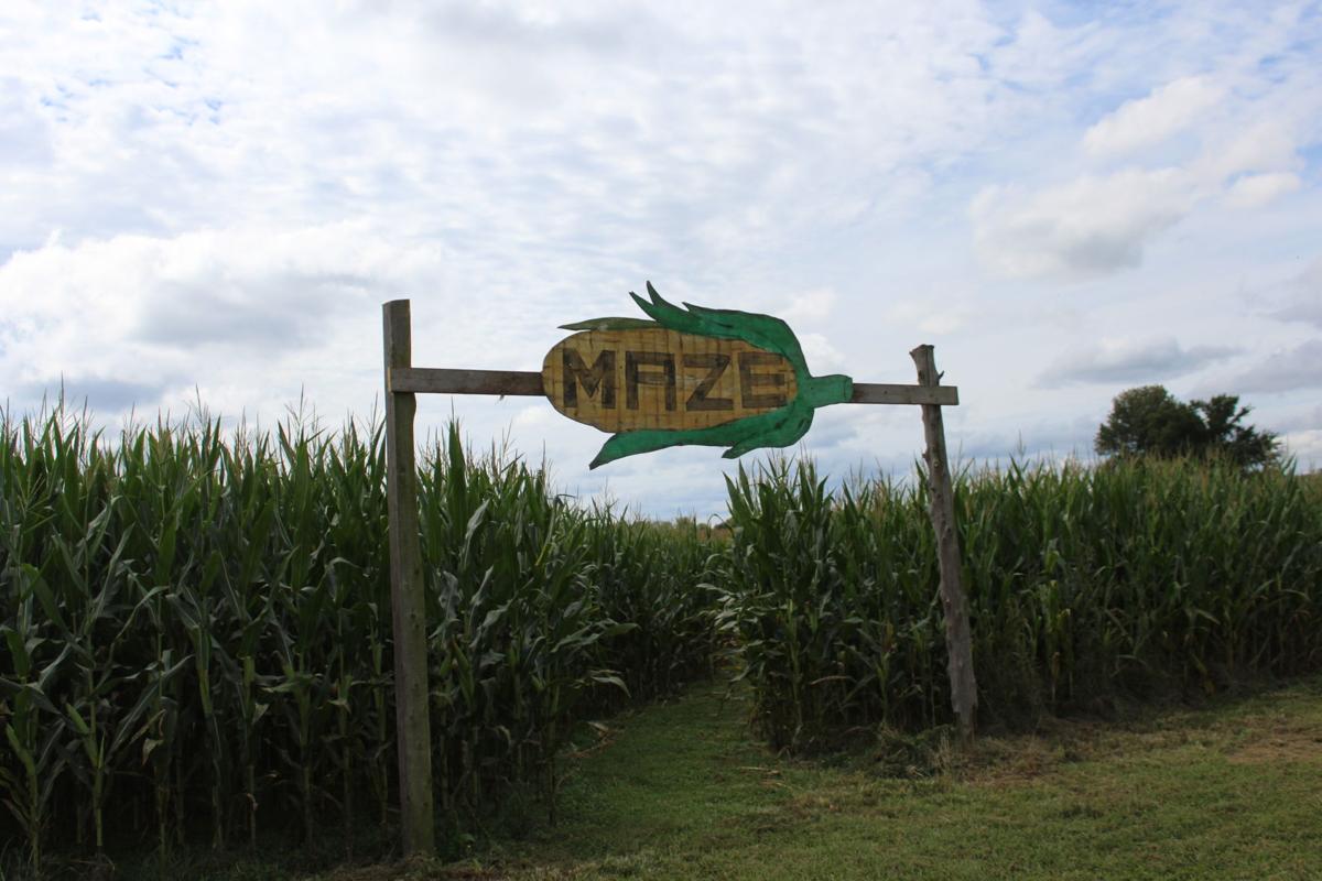 Fall Fun Set To Begin Locally Friday S Focus Thenewsenterprise Com