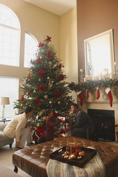 Selecting Live Christmas Tree Has Challenges Features Thenewsenterprise Com
