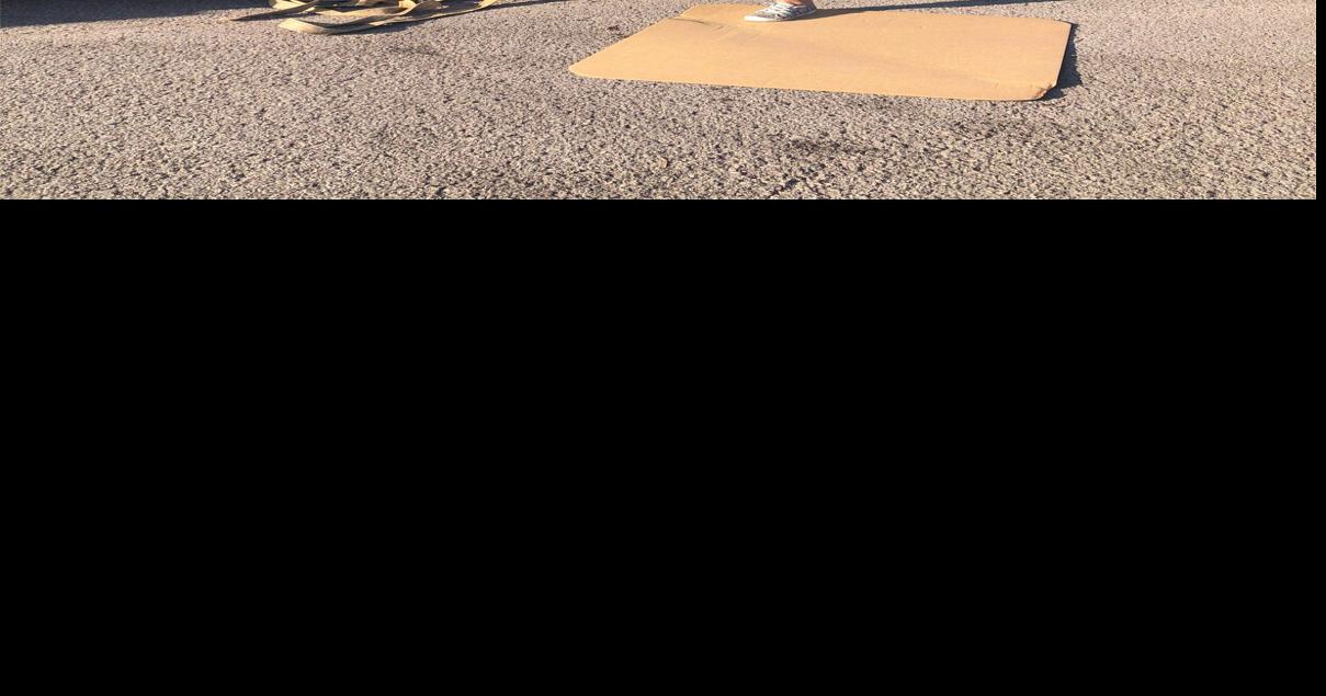 Dog food donations Local News