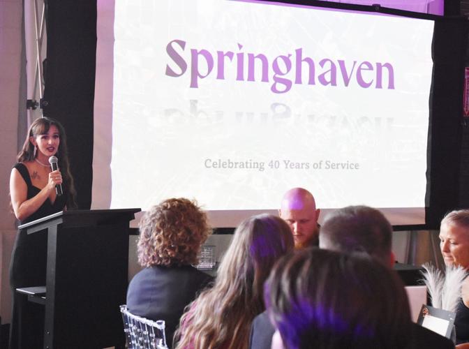 SpringHaven asks community to recommit to end domestic violence | Local ...