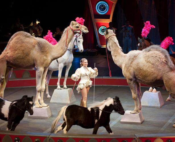 kosair-shrine-circus-returns-for-99th-year-to-benefit-children-in-need