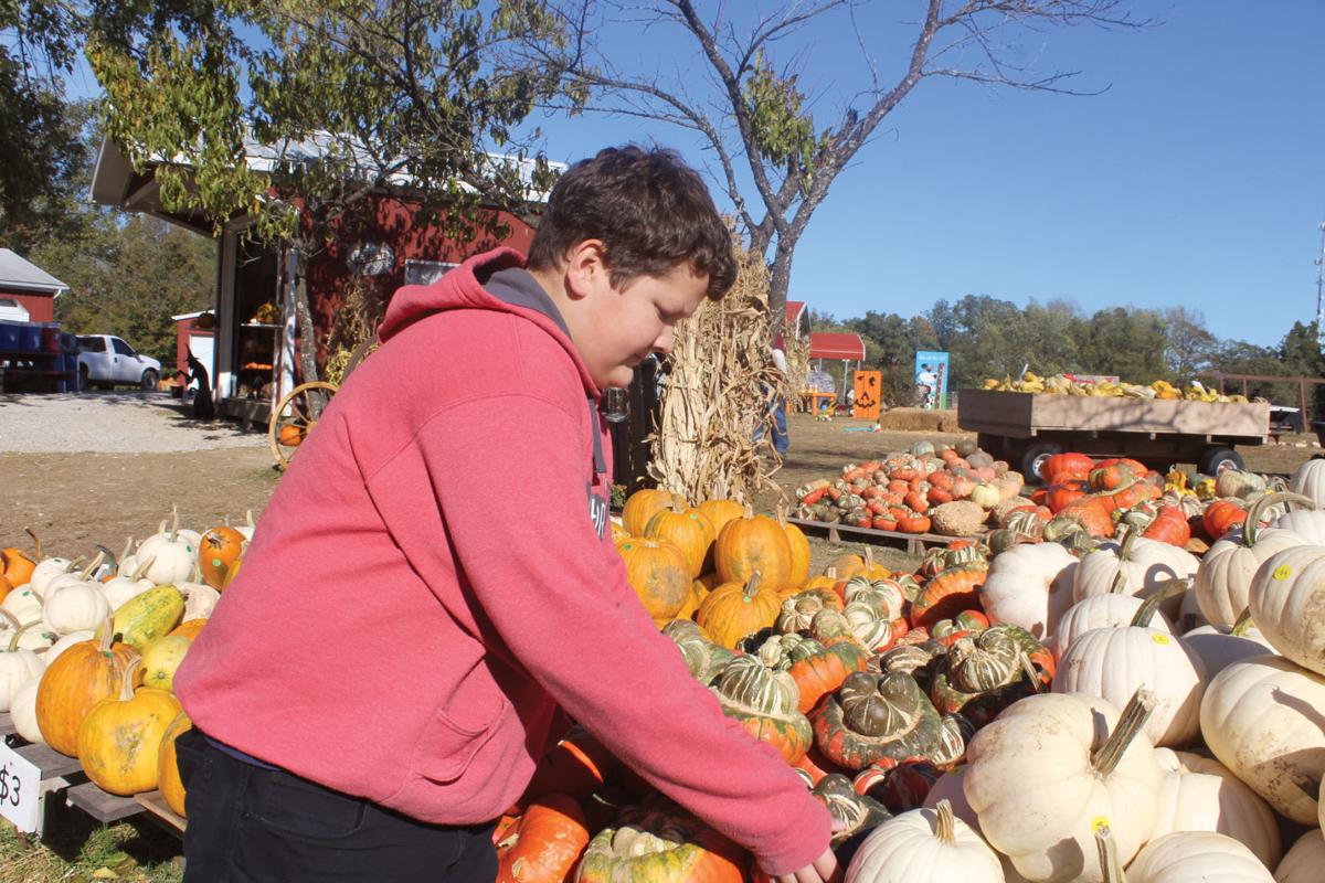 Teen Lends Pumpkin Expertise To Family Business Tuesday S Teen Thenewsenterprise Com