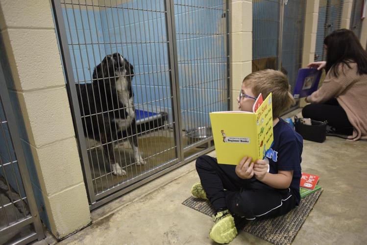 Children read as shelter dogs listen at Waggin’ Tales event | Local ...