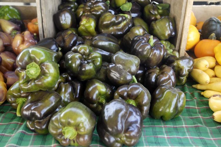 Farmers market begins new season Saturday Local News