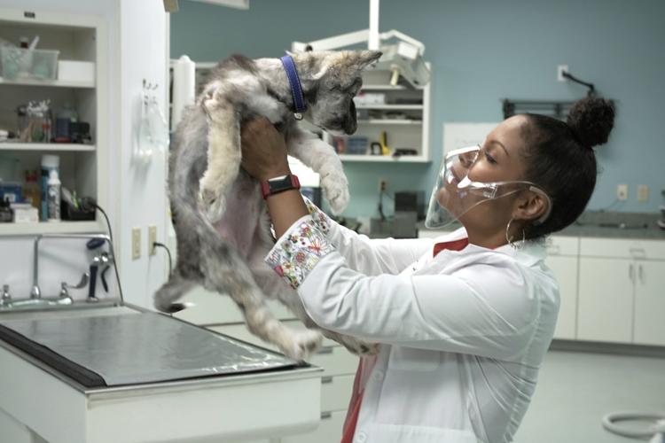 Kentucky veterinarian featured in new show Pulse