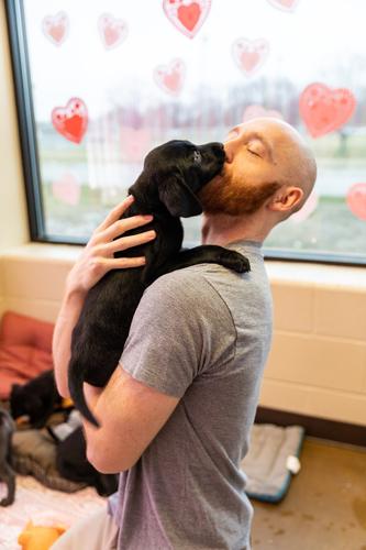 They call it puppy love': Community displays affection for Sweetheart Event  at animal shelter | Local News 