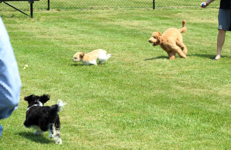 Vine Grove opens two new Optimist Park features Local News