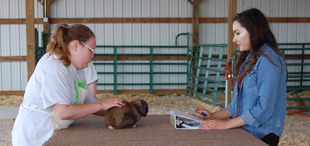 4-H Rabbit Club members compete in Hardin County fair | Neighbors ...