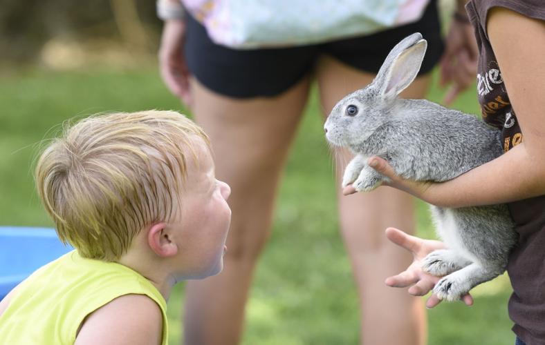 White Mills Days focuses on family fun this weekend Local News