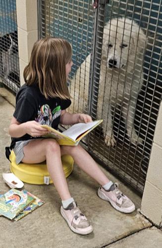 Tails wags as children delight in reading to shelter dogs | Local News ...