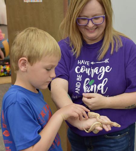 Ball pythons crawling about at library | Local News | thenewsenterprise.com