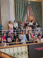 Spectators ordered to leave Senate chamber during school safety debate