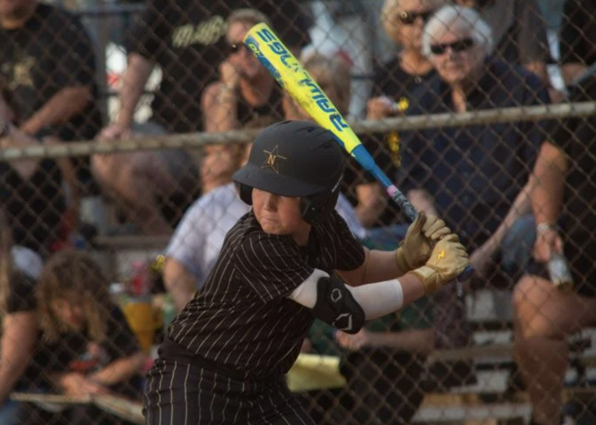 Little League Baseball World Series: South Nashville reaches