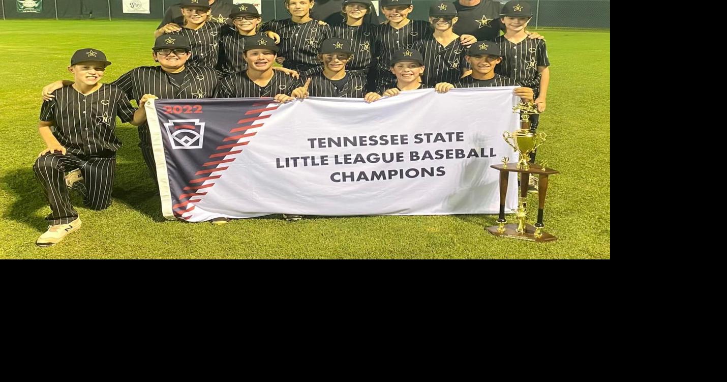 Baseball: Nolensville Little League team storms back into state  championship, Sports