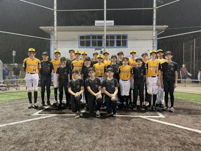 Baseball: Nolensville Little League team storms back into state  championship, Sports
