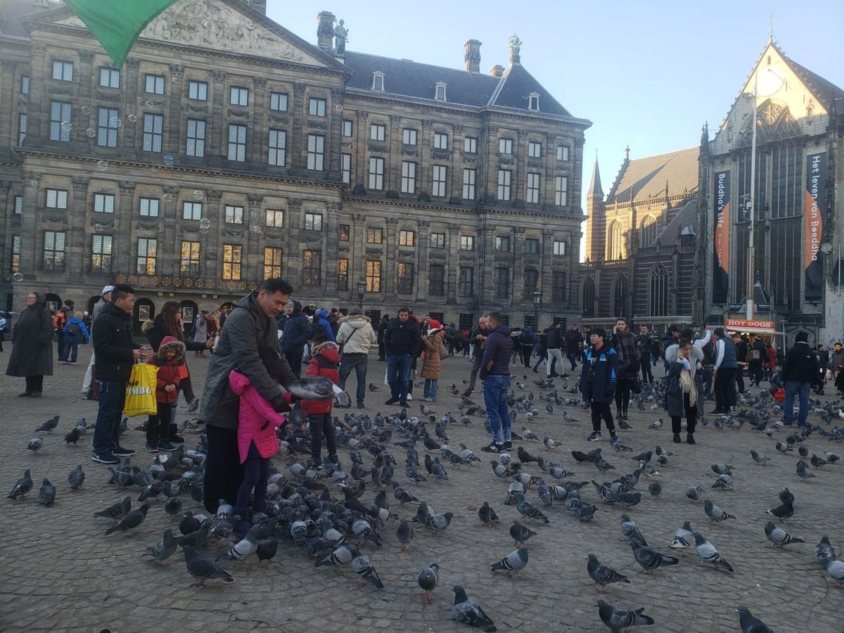 Friendly Fire The Best Way To Study Abroad Opinion Theonlinecurrent Com