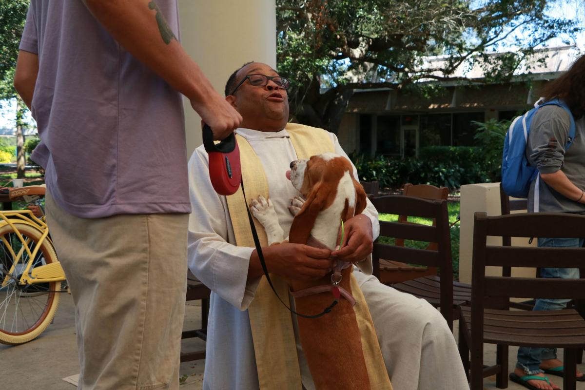 Pet Blessing 2019 - dog