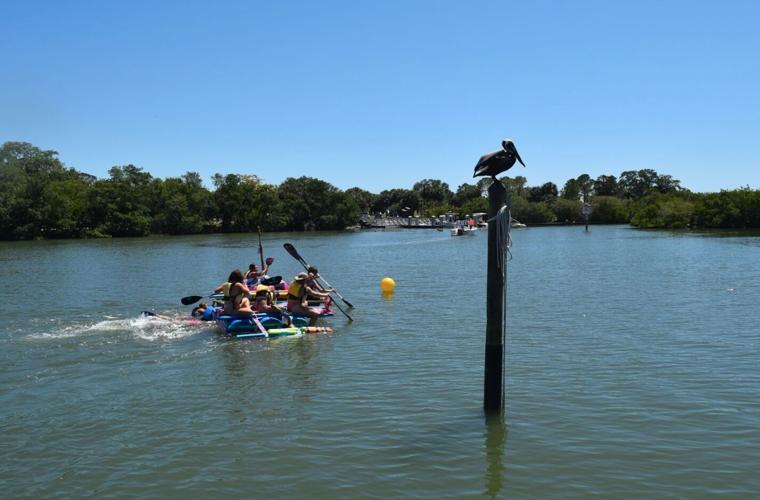 Eckerd Waterfront hosts “Kon Tiki” raft race | Multimedia ...