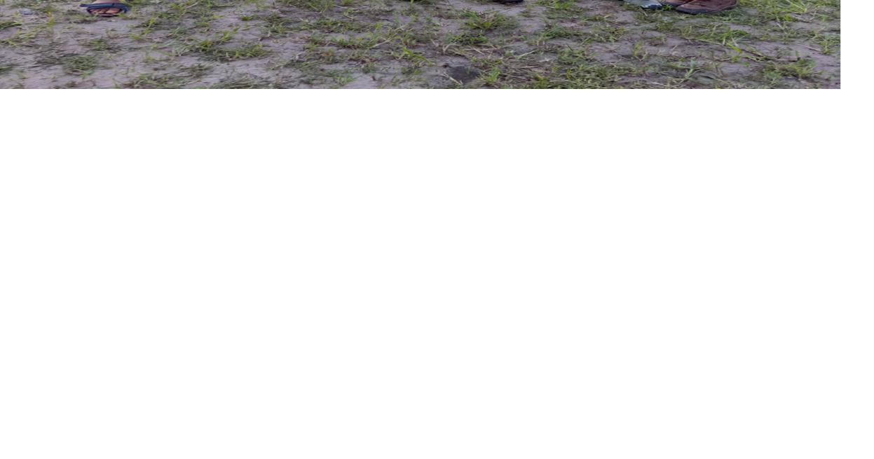 An Eckerd College student’s experience on Botswana safari